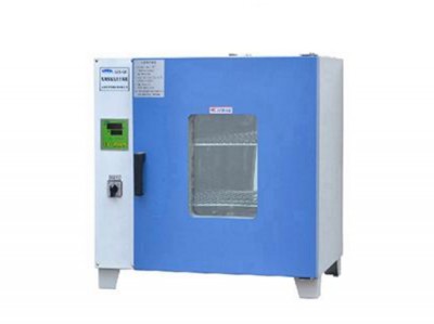 GZX-DH300-BS電熱恒溫干燥箱